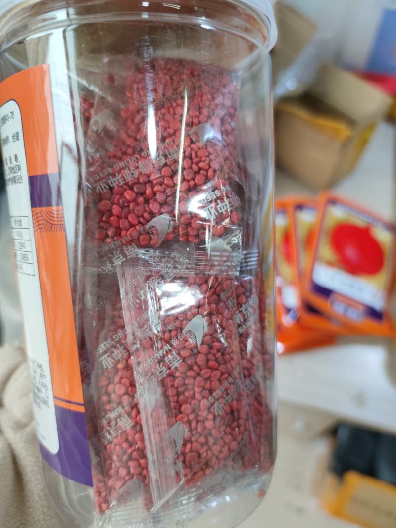 绿领红宝40萝卜种子，早熟耐热为圆形，表皮大红，肉白色，