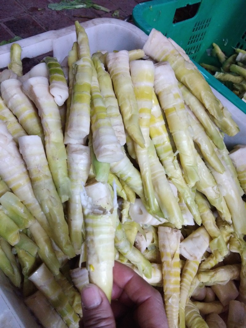 新鲜现挖甜笋即挖即煮鲜甜爽脆