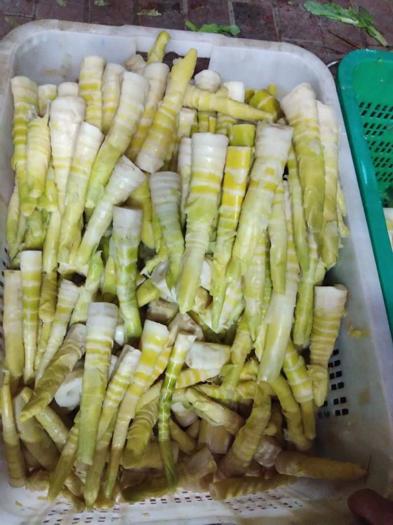 新鲜现挖甜笋即挖即煮鲜甜爽脆