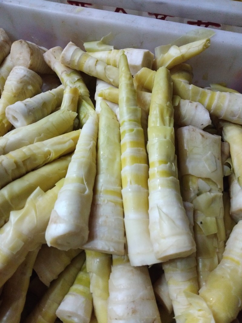 新鲜现挖甜笋即挖即煮鲜甜爽脆