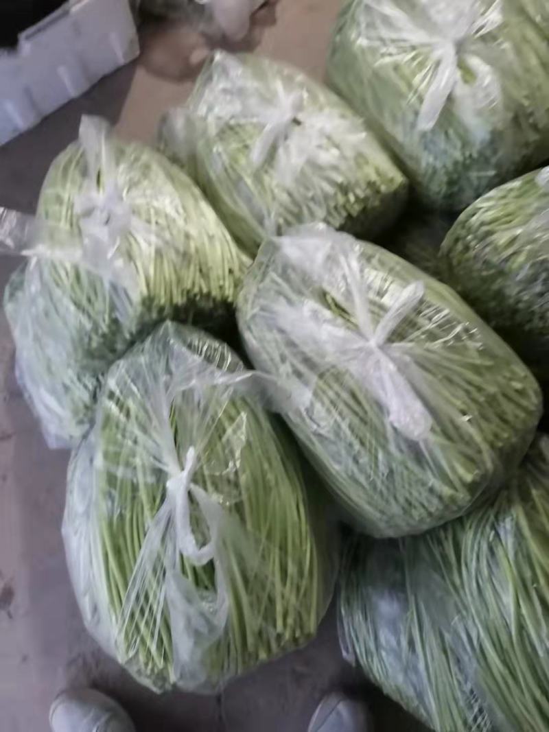 【牛商推荐】新鲜芦篙品质上乘专业批发量大从优可实地