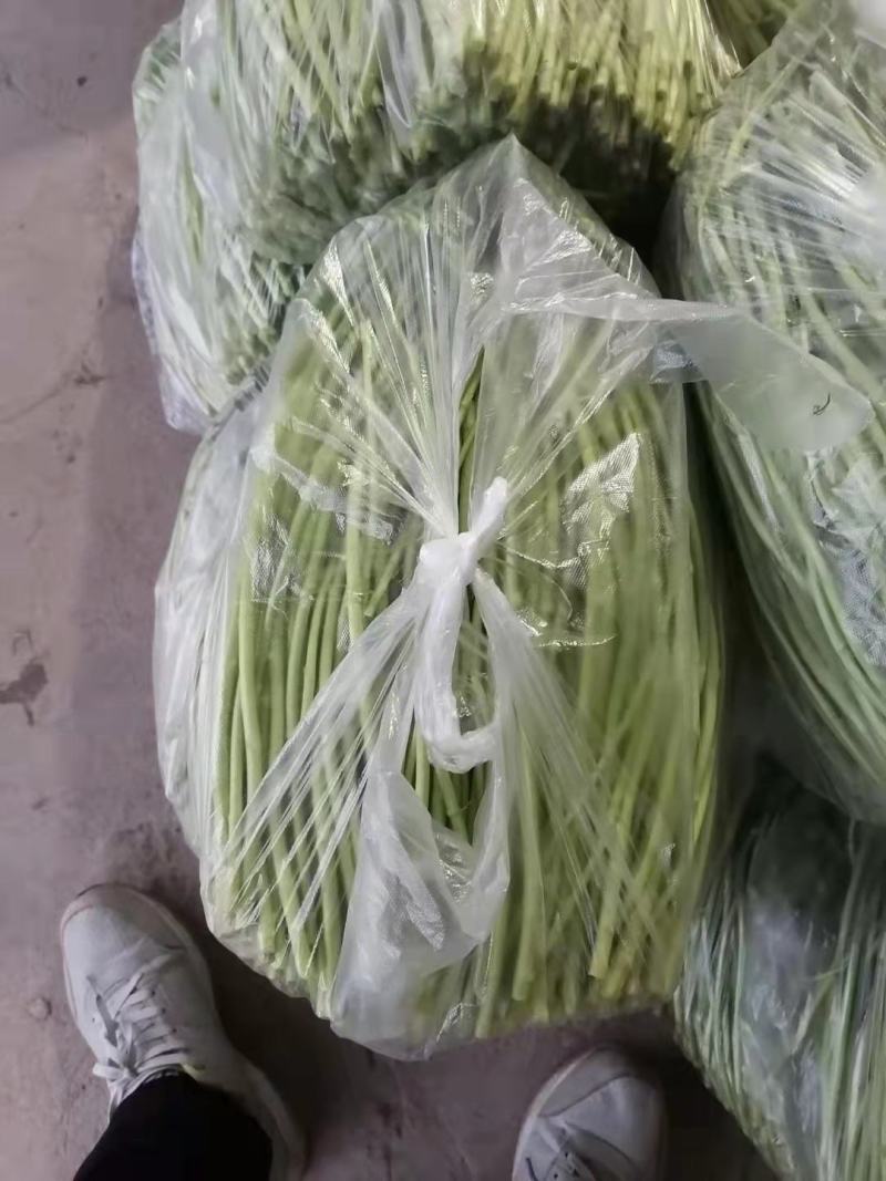 【牛商推荐】新鲜芦篙品质上乘专业批发量大从优可实地