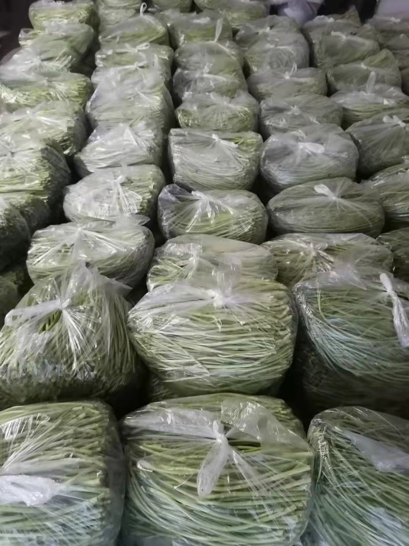 【牛商推荐】新鲜芦篙品质上乘专业批发量大从优可实地