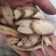 通关藤，一手货源，产地直供，新货药味足，无硫品质保证