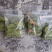 云南贡菜精选小包装100克9.9包邮，一家4人吃两餐的量