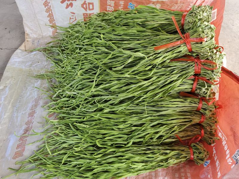 云南贡菜精选小包装100克9.9包邮，一家4人吃两餐的量