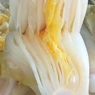 东北酸菜饭店食堂专用大缸腌制传统腌制整棵酸菜厂家批发