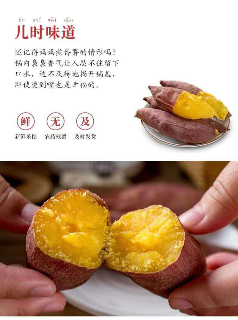 【包邮-10斤蜜薯】批发10斤20斤正宗沙地蜜薯红薯