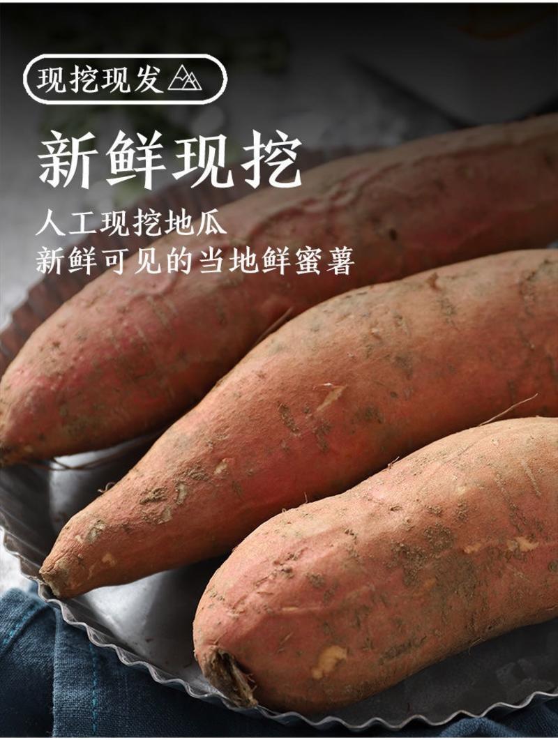 【包邮-10斤蜜薯】批发10斤20斤正宗沙地蜜薯红薯