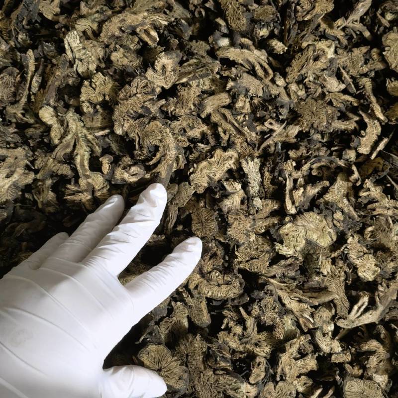 升麻今年新货实图拍摄颜色好看量大从优一手货源