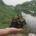白洋淀水生植物