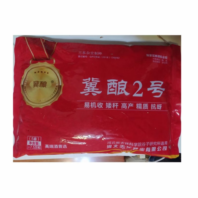 酿酒糯高粱,冀酿2号杂交超高产高粱种子,矮秆三系制种抗蚜
