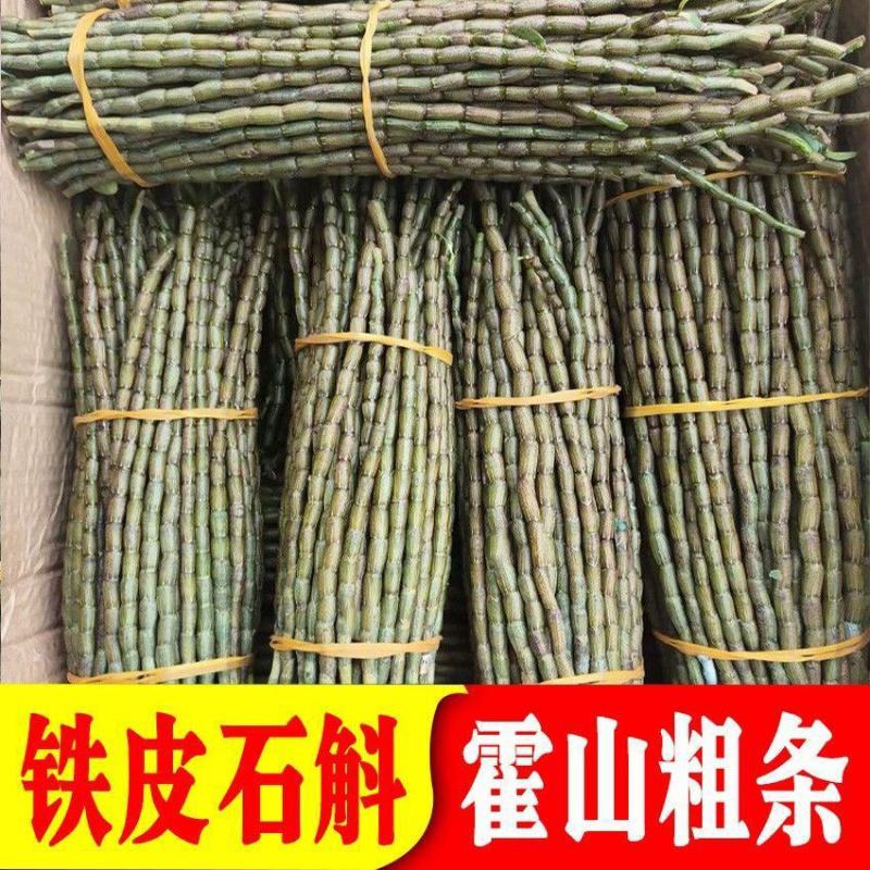 云南铁皮石斛新鲜条长条短条现摘现发保证新鲜