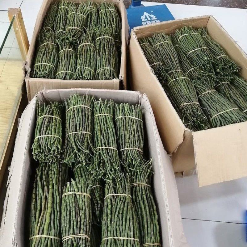 云南铁皮石斛新鲜条长条短条现摘现发保证新鲜