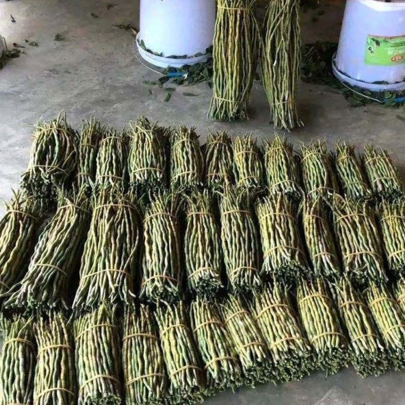 云南铁皮石斛新鲜条长条短条现摘现发保证新鲜