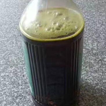 无添加菜籽油