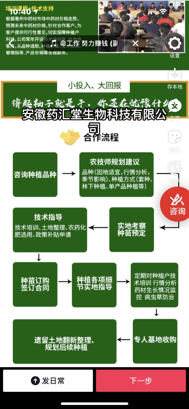 观赏药用何首乌，基地现挖现发，绿化观赏电商需要的可联系我