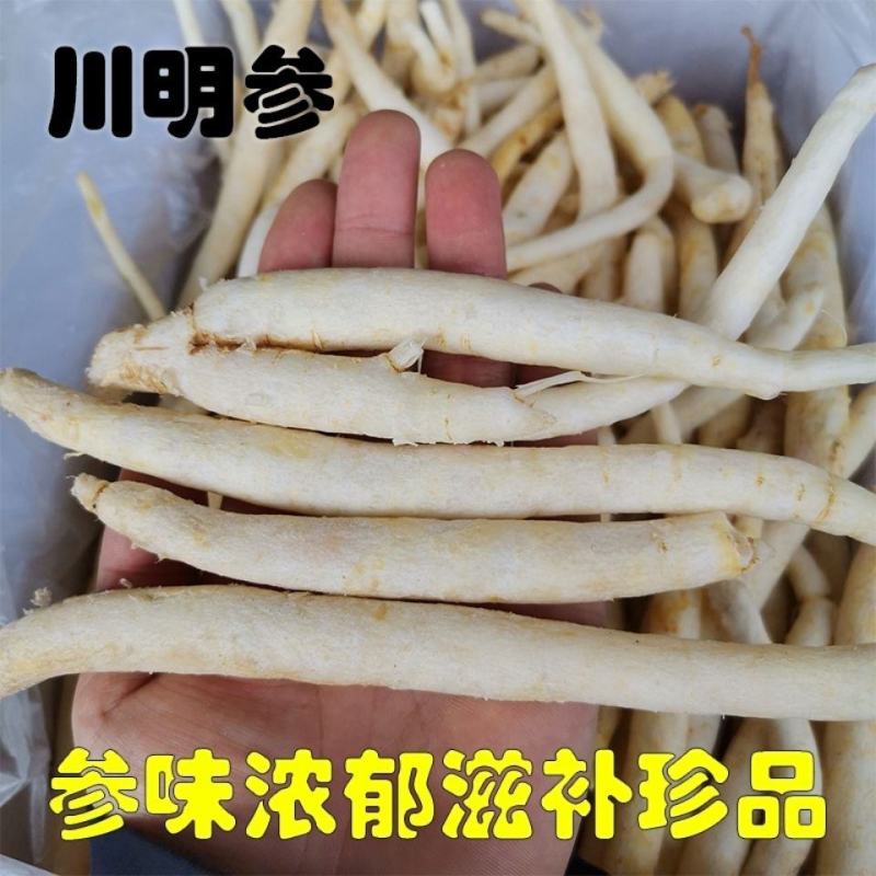 四川明沙参批发干沙参四川特产南沙参非北沙参中药材滋补炖料