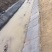 水渠修复水泥毯