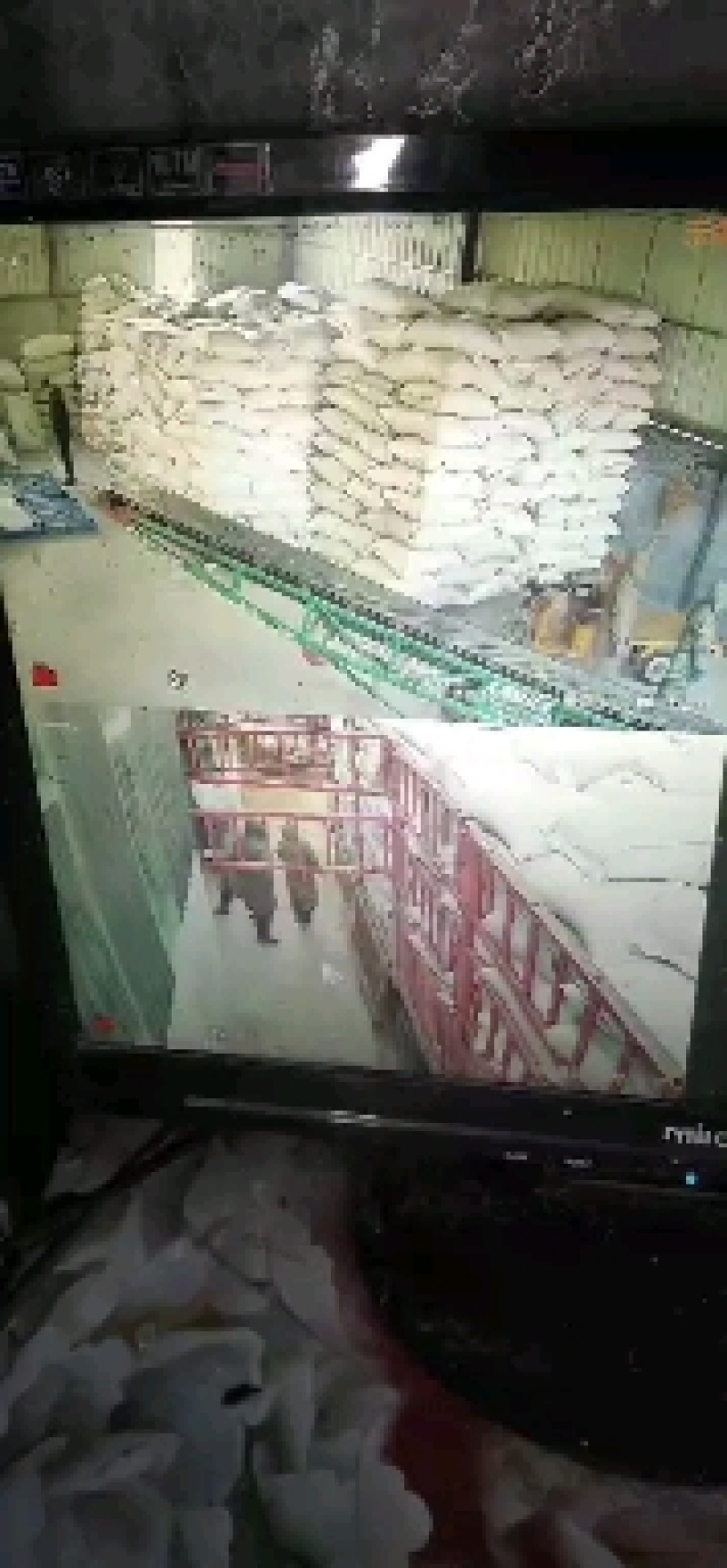 莪术今年新货颜色好看实图拍摄量大从优一手货源