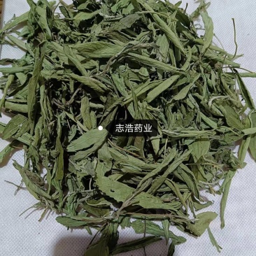 甜叶菊正品甜叶菊甜叶菊茶批发各种中药材养生花茶