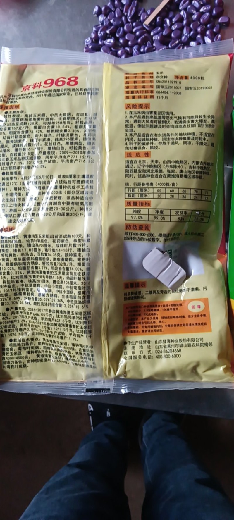 玉米种子正品登海京科968登海710良玉99欢迎平台下单