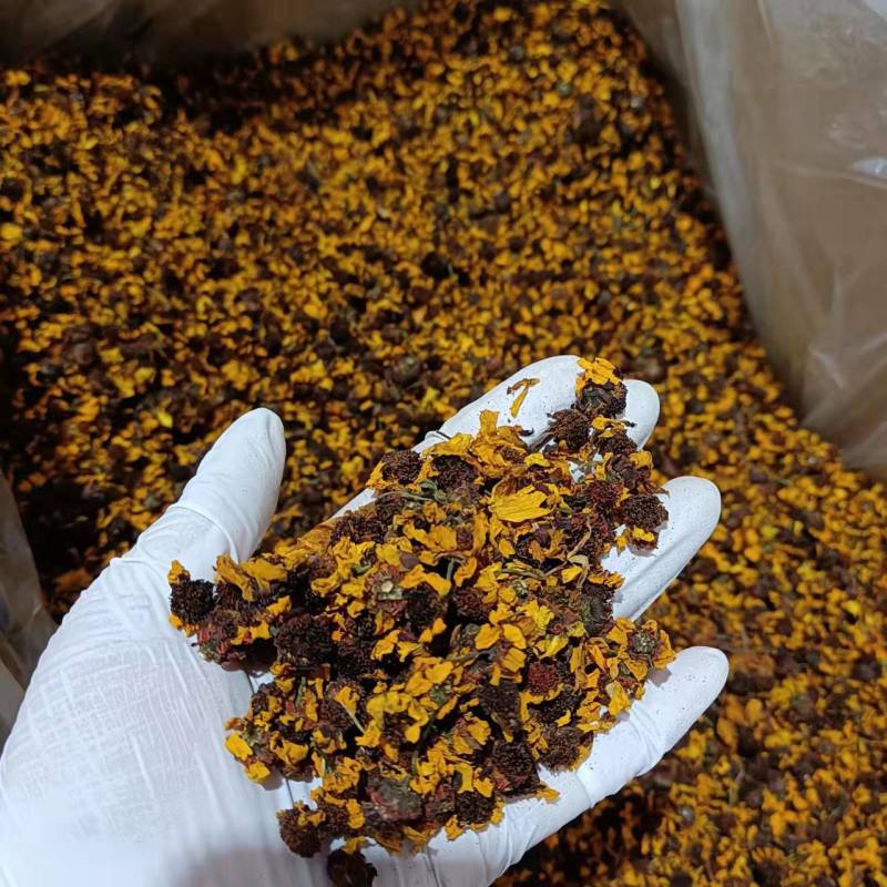 雪菊新货颜色好各种养生花茶批发诚信经营