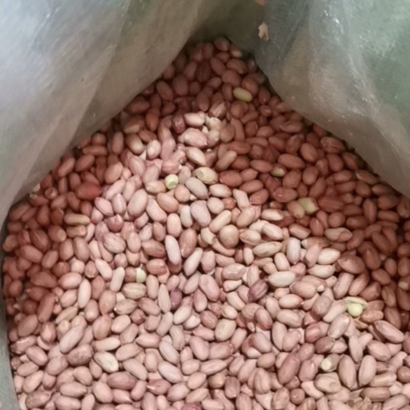 花玉精选米纯人工手捡无内霉，无芽，适合市场，食品厂用米