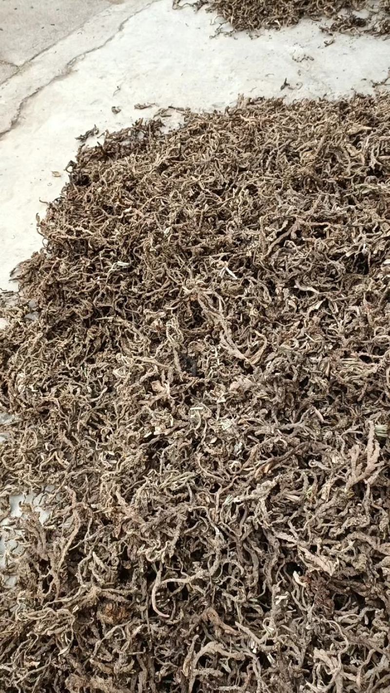 野生石菖蒲干净统货，质量保证，贵州省遵义市绥阳县太白镇。