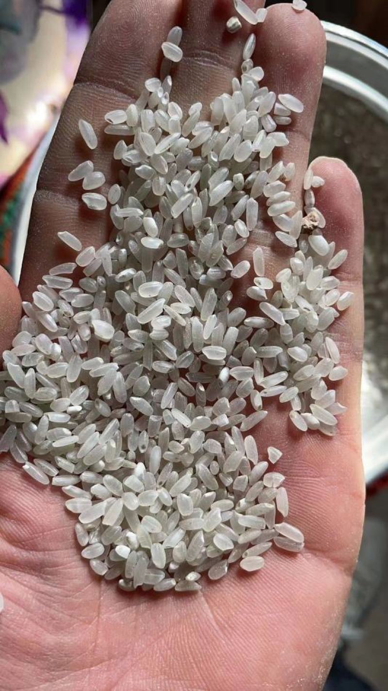 稻谷，大量供应广东和广西两地饲料稻谷，包运输到家