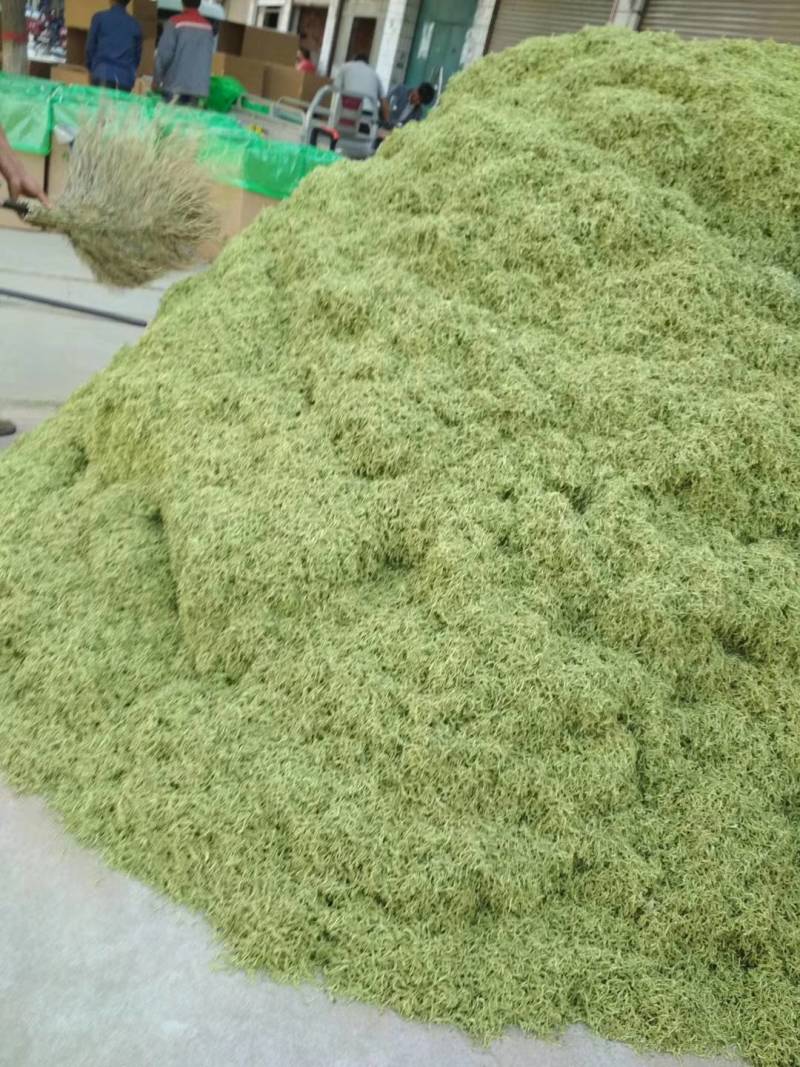 苦丁欢迎选购