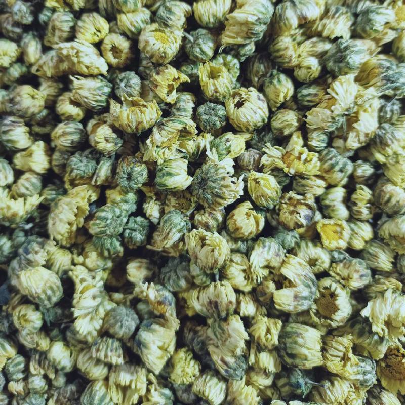 苦丁欢迎选购