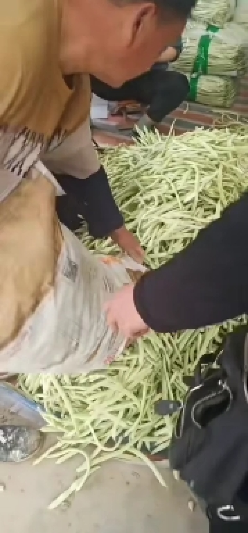 山东单县，蔬菜，产地直供，货源充足，优等蔬菜，对接全国