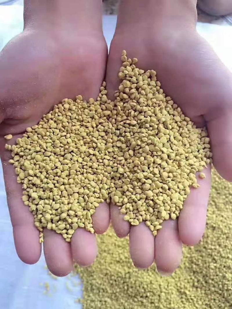 油菜花粉包邮颗粒大粉沫少一手货源一件代发