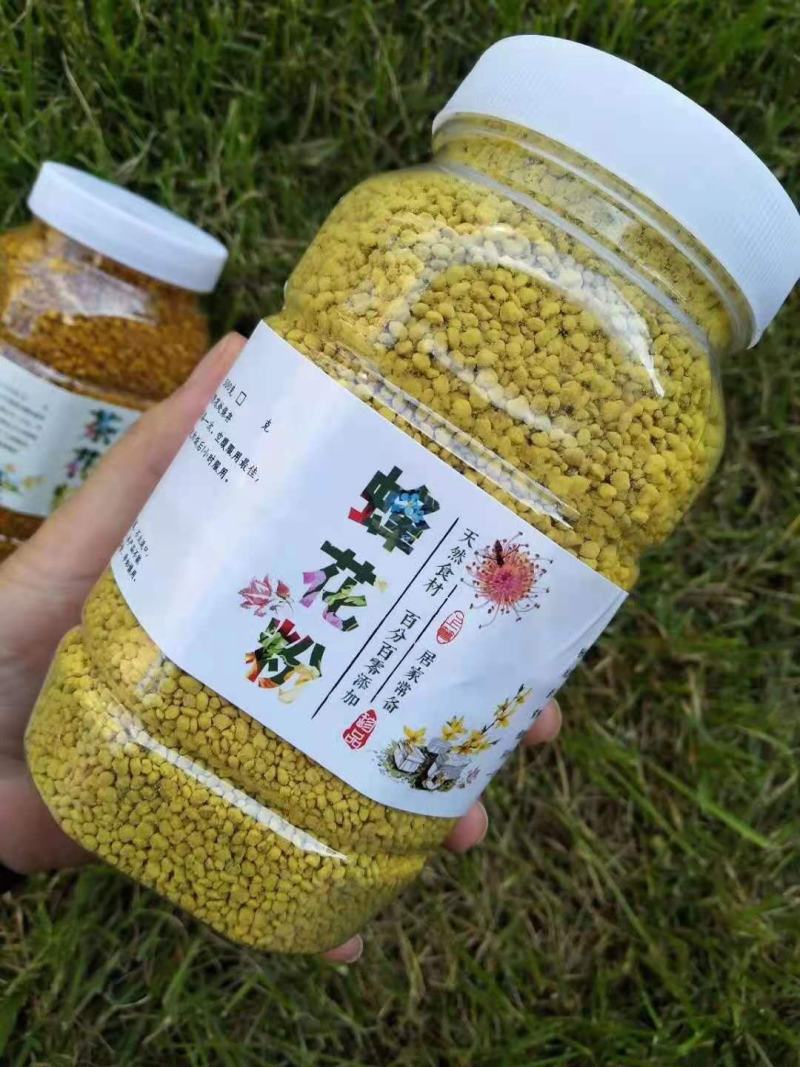 油菜花粉包邮颗粒大粉沫少一手货源一件代发