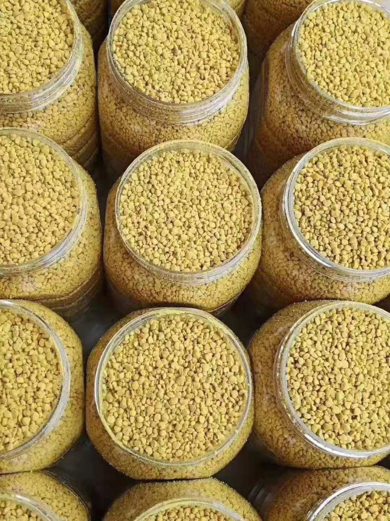 油菜花粉包邮颗粒大粉沫少一手货源一件代发