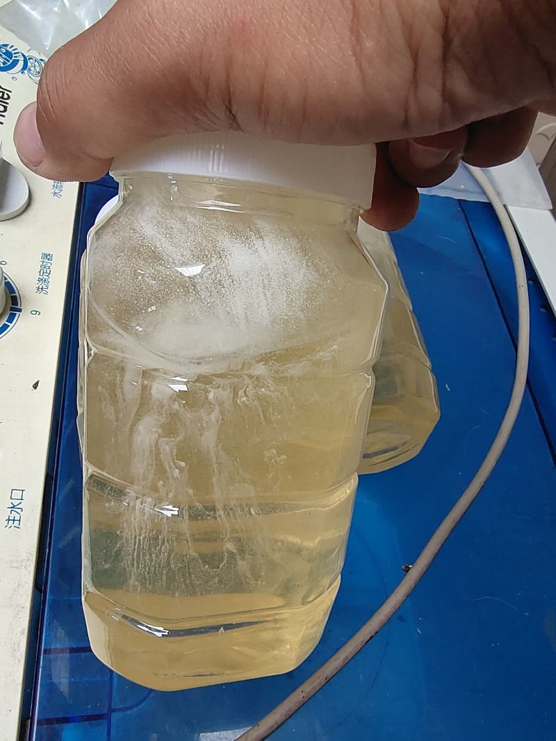 《2022年蜂蜜》洋槐荆条枣花百花蜜质量好天然成熟