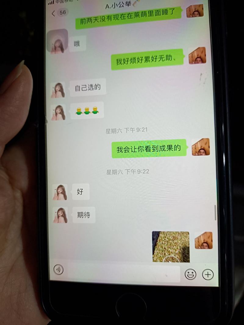 刘三姐芽苗菜
