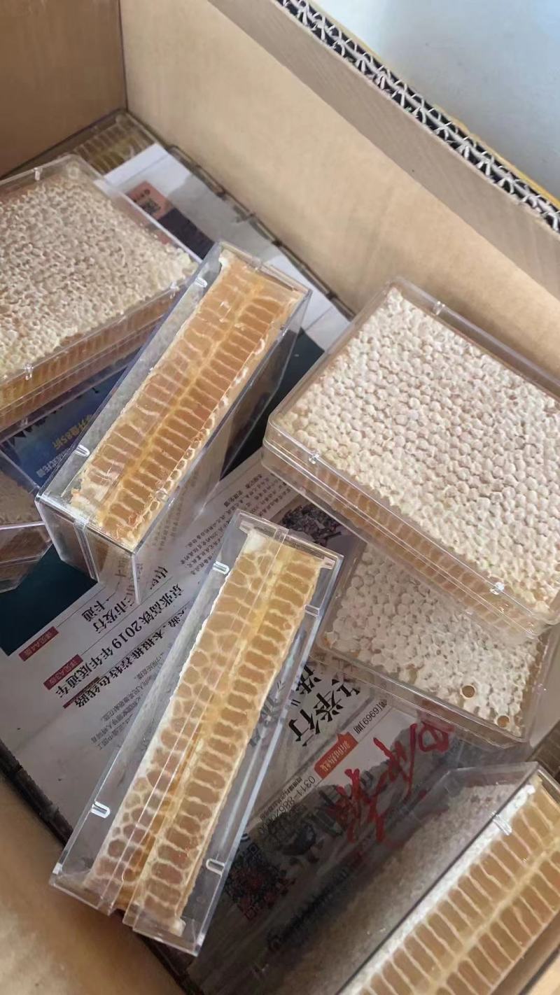 蜂巢蜜荆条巢蜜百花巢蜜二级精品应有尽有规格齐全