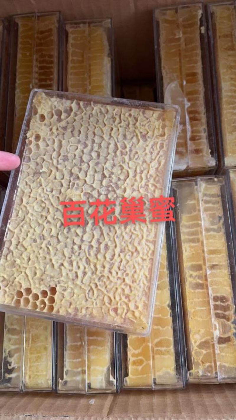 蜂巢蜜荆条巢蜜百花巢蜜二级精品应有尽有规格齐全