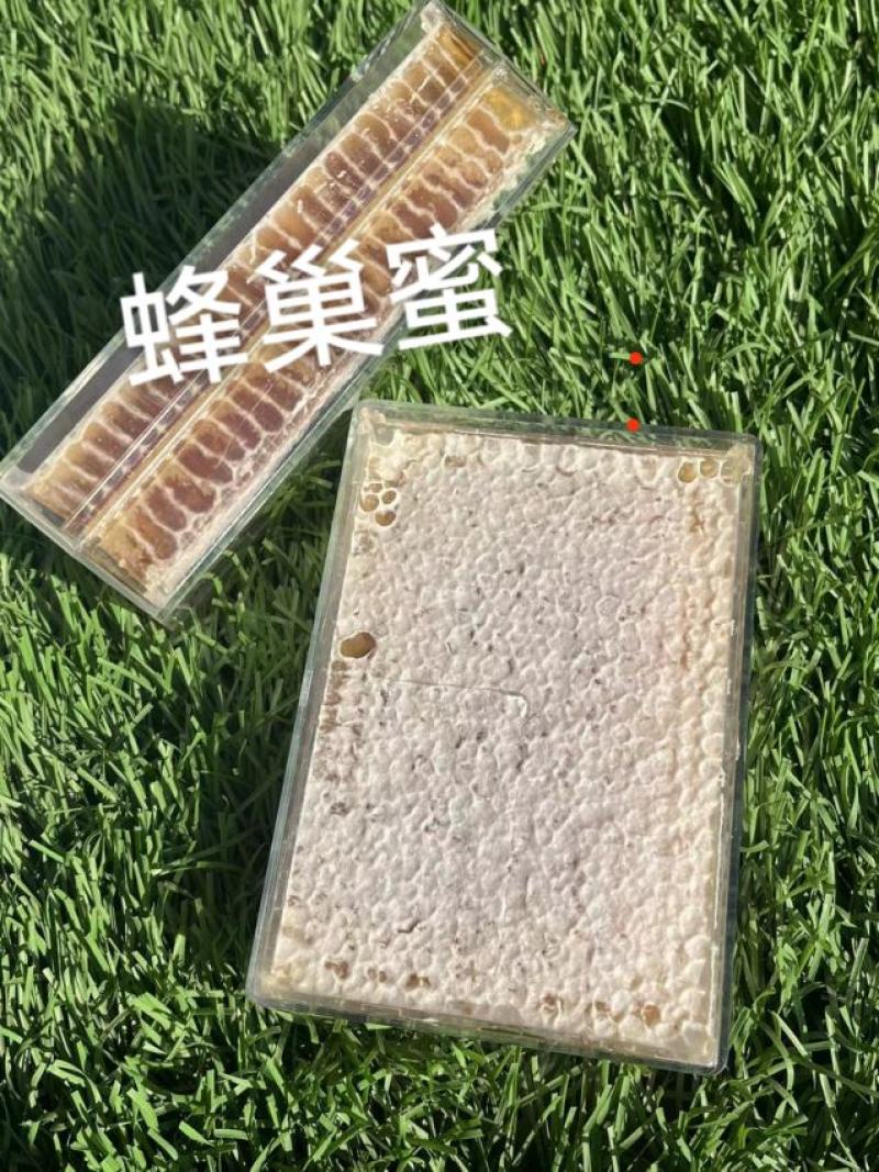 蜂巢蜜荆条巢蜜百花巢蜜二级精品应有尽有规格齐全