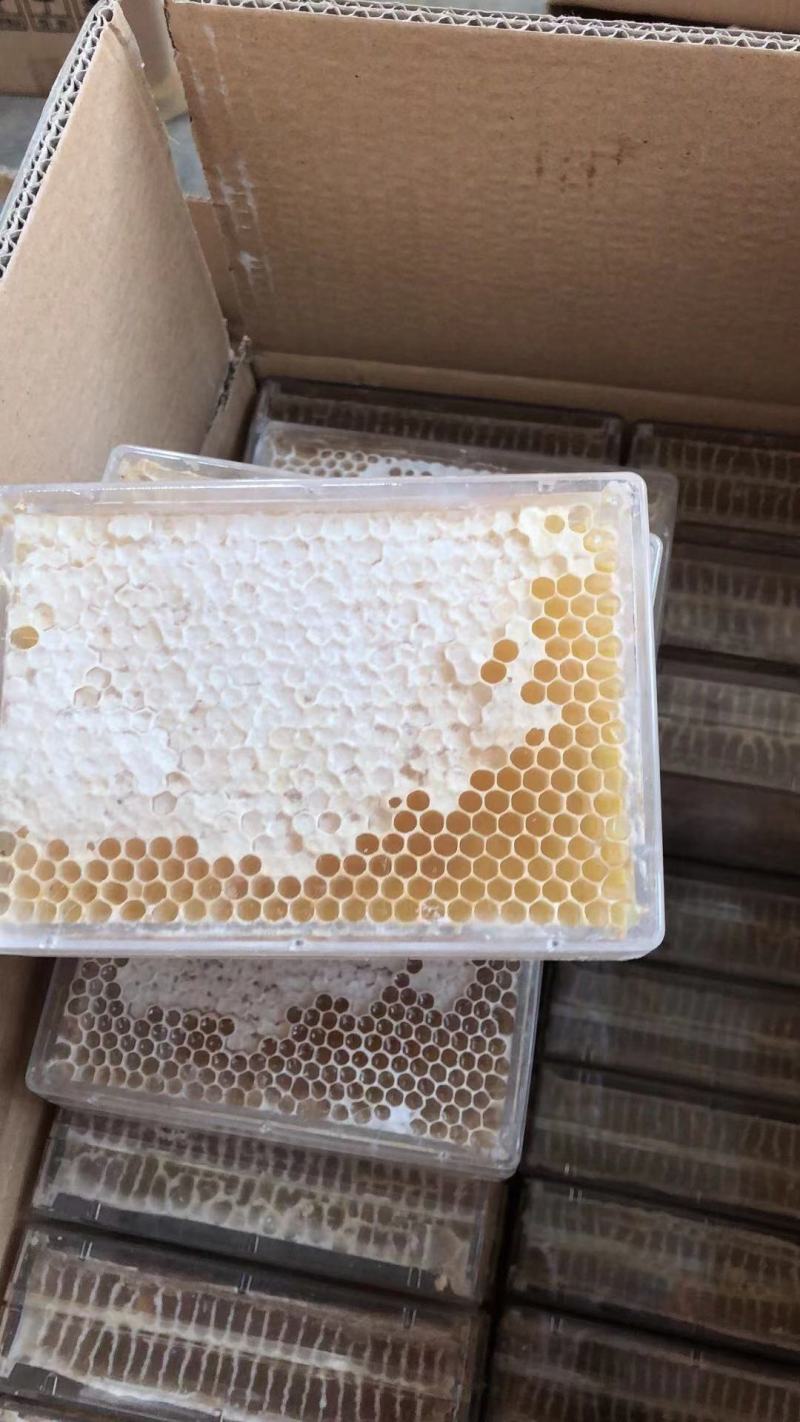 蜂巢蜜荆条巢蜜百花巢蜜二级精品应有尽有规格齐全