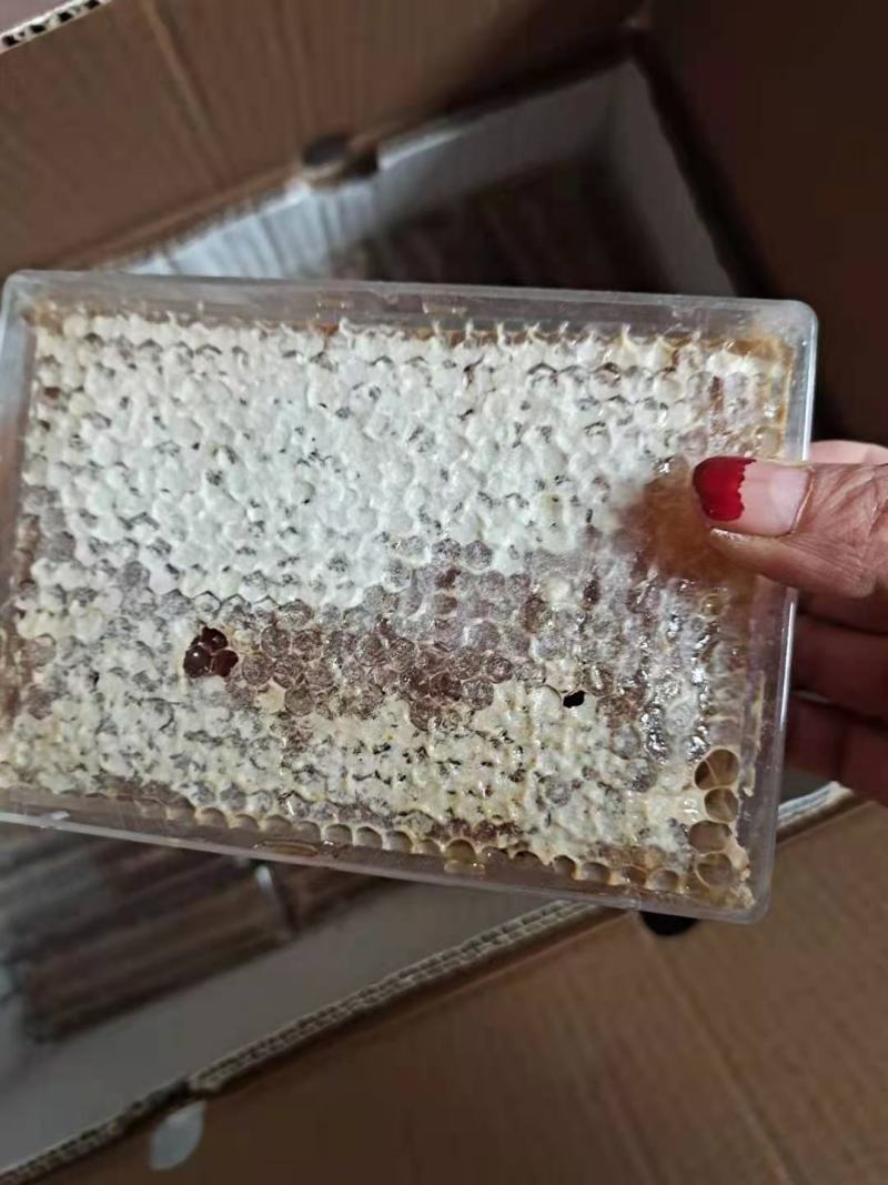 蜂巢蜜荆条巢蜜百花巢蜜二级精品应有尽有规格齐全