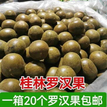 【桂林产地发货】广西桂林罗汉果新货多规格可选包邮