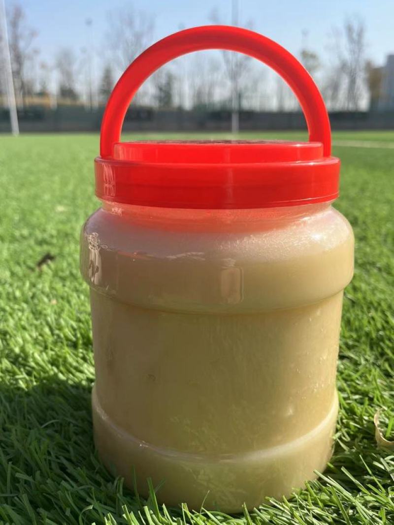 蜂蜜油菜花蜜结晶高浓度2022新蜜蜂蜜农家