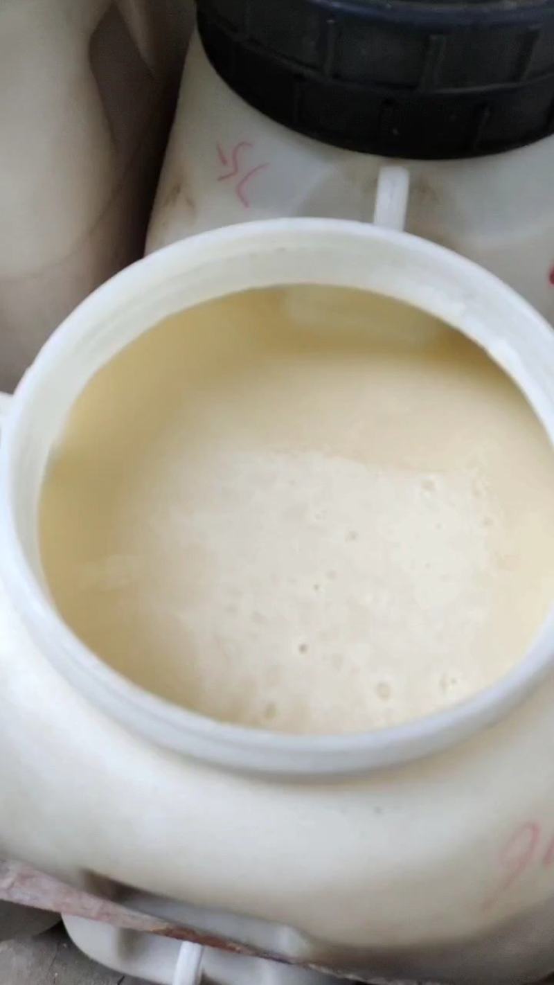 蜂蜜油菜花蜜结晶高浓度2022新蜜蜂蜜农家