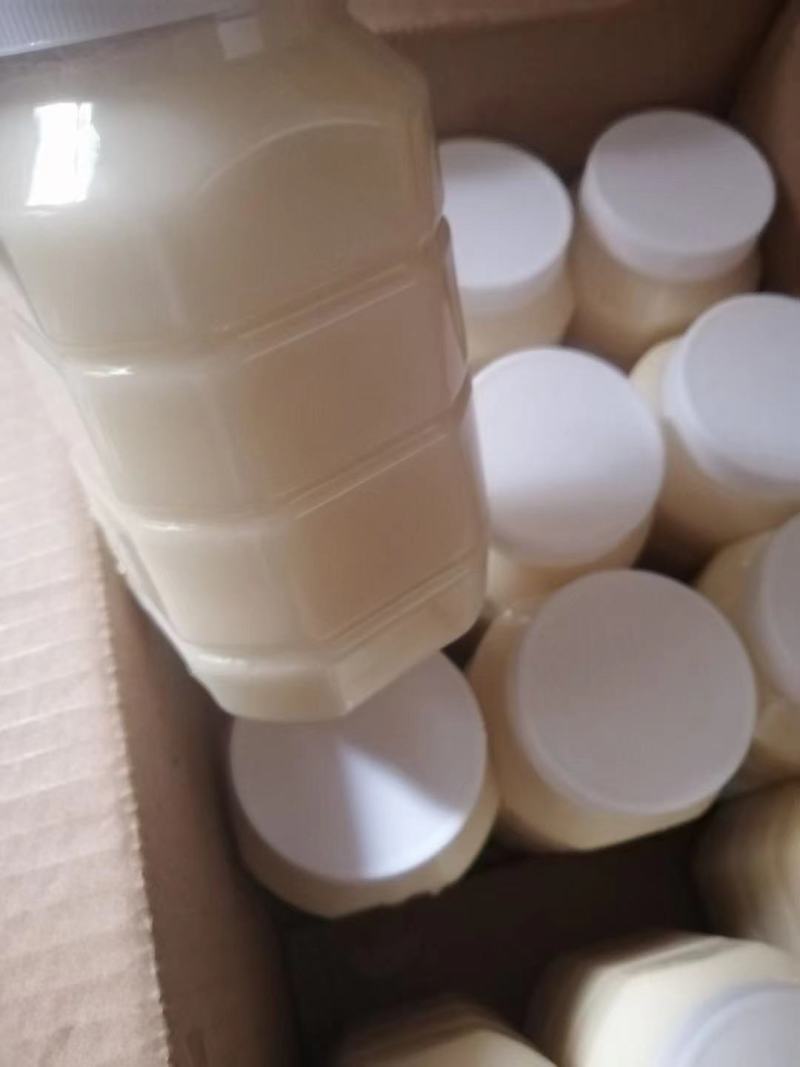 蜂蜜油菜花蜜结晶高浓度2022新蜜蜂蜜农家
