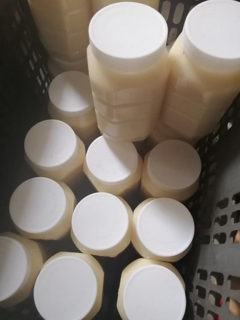 蜂蜜油菜花蜜结晶高浓度2022新蜜蜂蜜农家