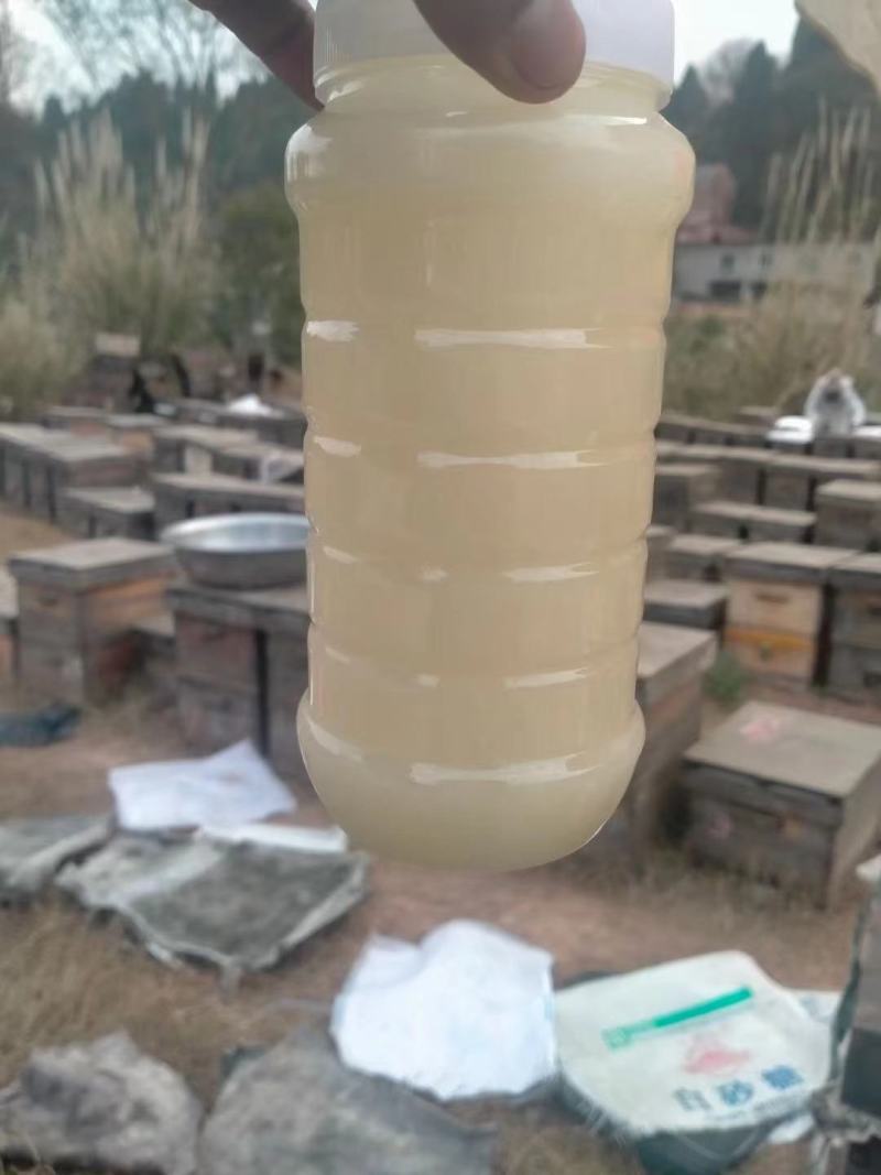 2022年油菜花蜜纯蜂蜜成熟结晶蜂蜜包邮农家好蜜