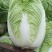 临漳县白菜